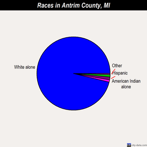 Antrim County races chart