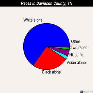 Davidson County races chart