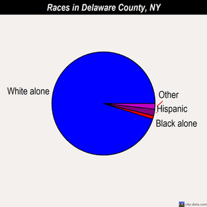 Delaware County races chart