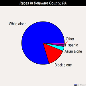 Delaware County races chart