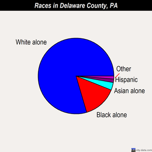 Delaware County races chart