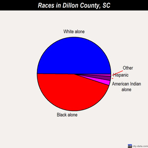 Dillon County races chart