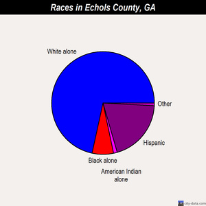 Echols County races chart