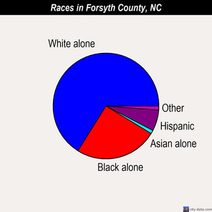 Forsyth County races chart