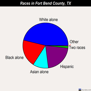 Fort Bend County races chart
