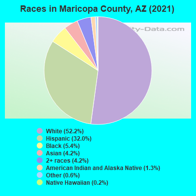 Maricopa County Mature Employment 68