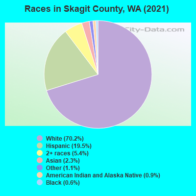 skagit county  building codes