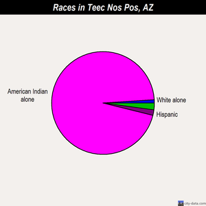 Teec Nos Pos races chart