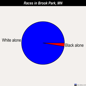 Brook Park races chart