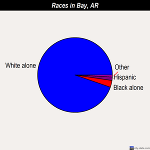 Bay races chart