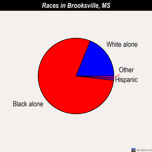 Brooksville races chart