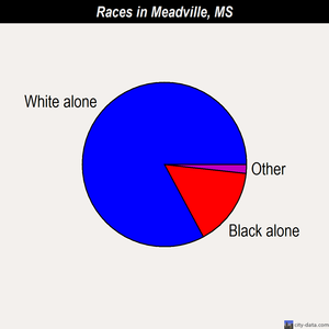 Meadville races chart