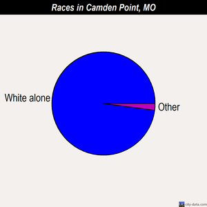 Camden Point races chart