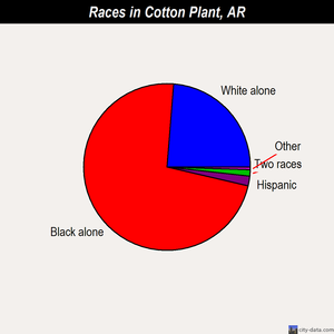 Cotton Plant races chart