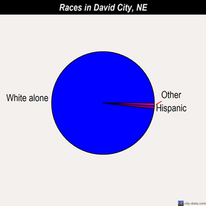 David City races chart