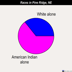 Pine Ridge races chart