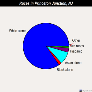 Princeton Junction races chart