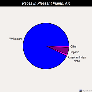 Pleasant Plains races chart