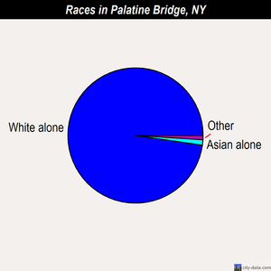 Palatine Bridge races chart