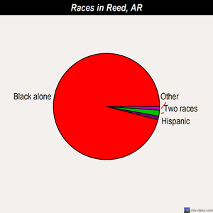 Reed races chart