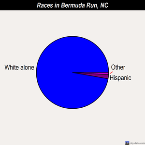 Bermuda Run races chart