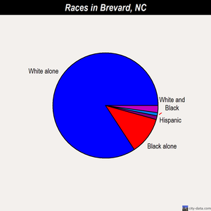Brevard races chart