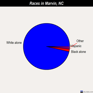 Marvin races chart