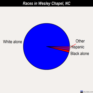 Wesley Chapel races chart