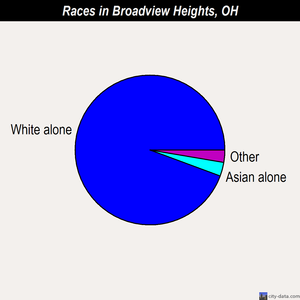 Broadview Heights races chart