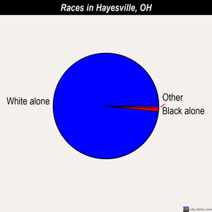 Hayesville races chart