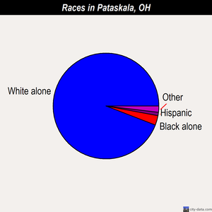 Pataskala races chart