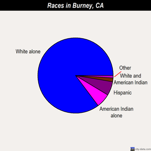 Burney races chart