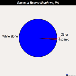 Beaver Meadows races chart