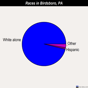 Birdsboro races chart