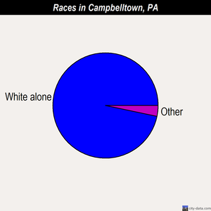 Campbelltown races chart