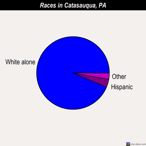 Catasauqua races chart