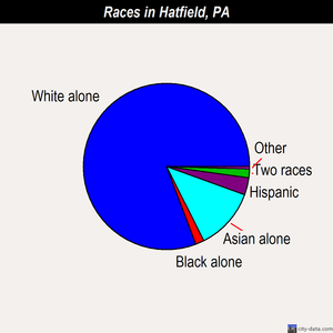 Hatfield races chart