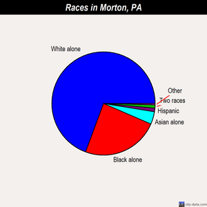 Morton races chart