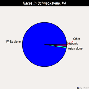 Schnecksville races chart