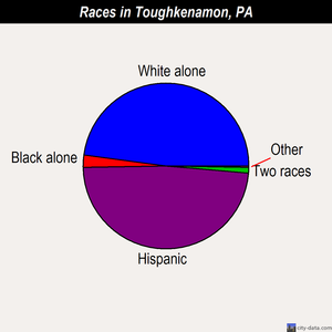 Toughkenamon races chart