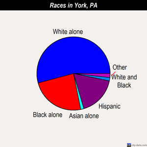 York races chart
