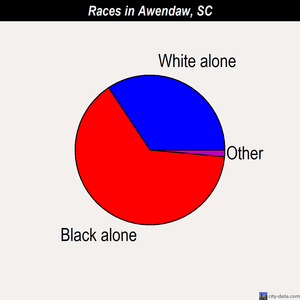 Awendaw races chart