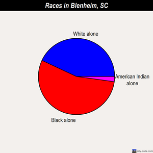 Blenheim races chart