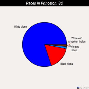Princeton races chart