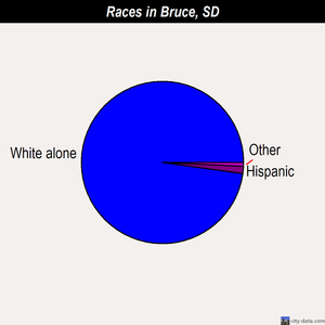 Bruce races chart