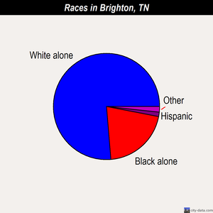 Brighton races chart