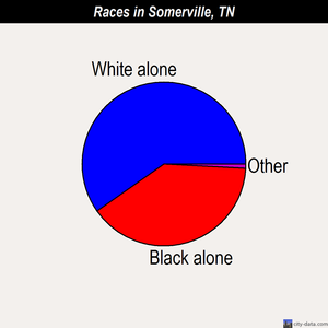 Somerville races chart