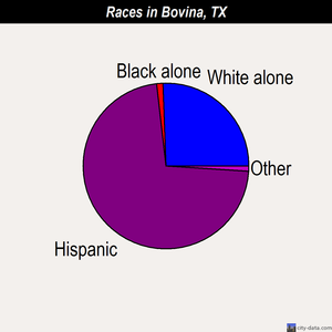 Bovina races chart
