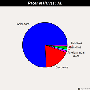 Harvest races chart