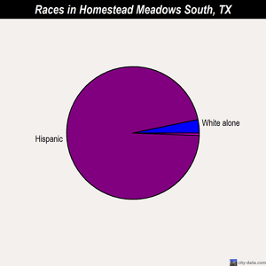 Homestead Meadows South races chart